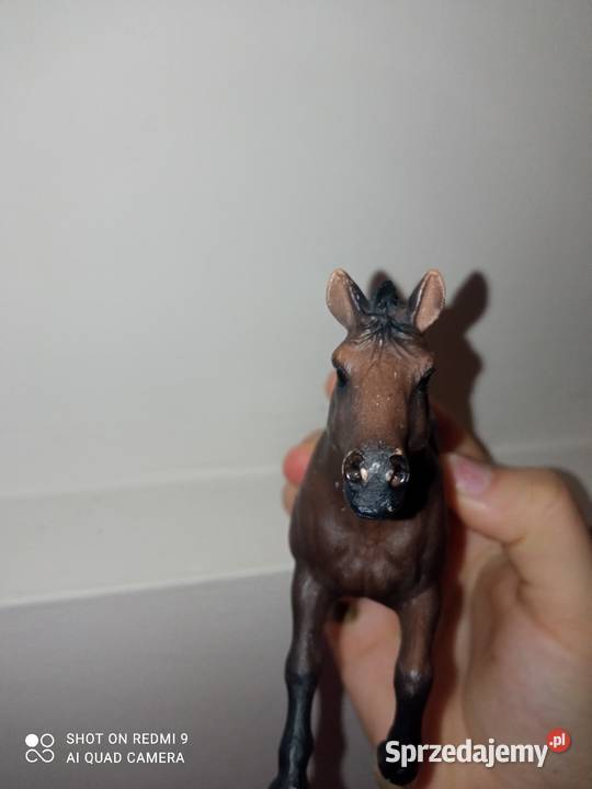 Konik Schleich