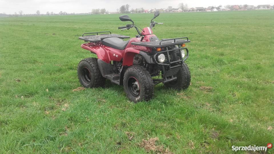 MOTORTEK TM 175 MZ Ostoje sprzedam