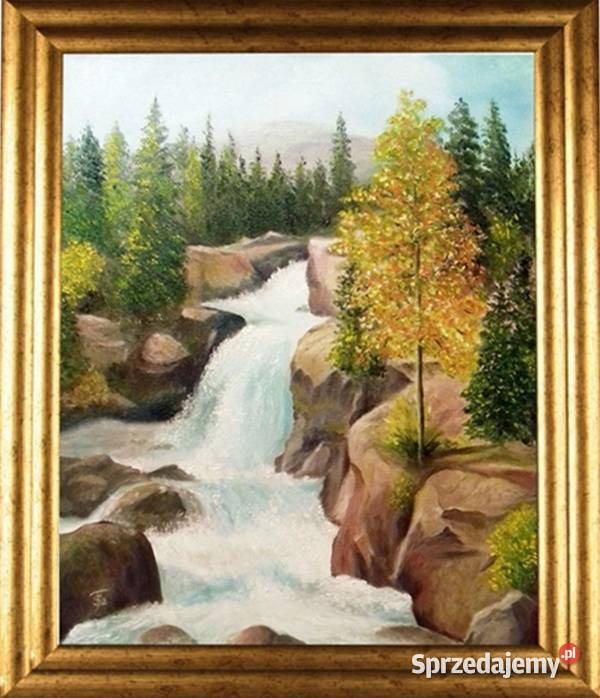 Obraz olejny Wodospad lubelskie Lublin