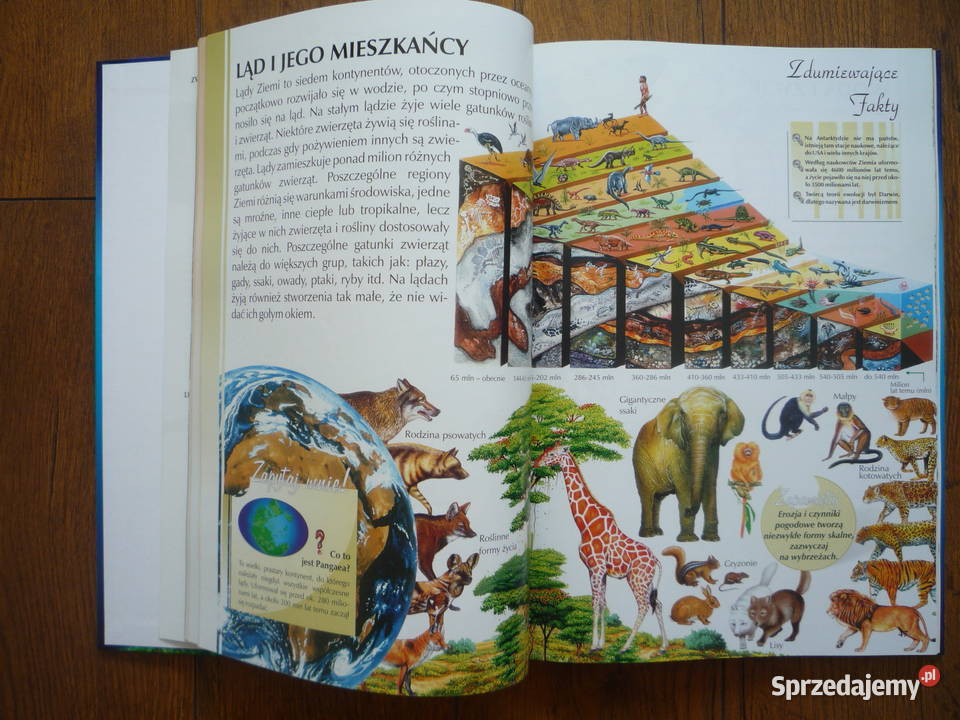 Encyklopedia dzieci Teraz już wiem twarda Szczecin