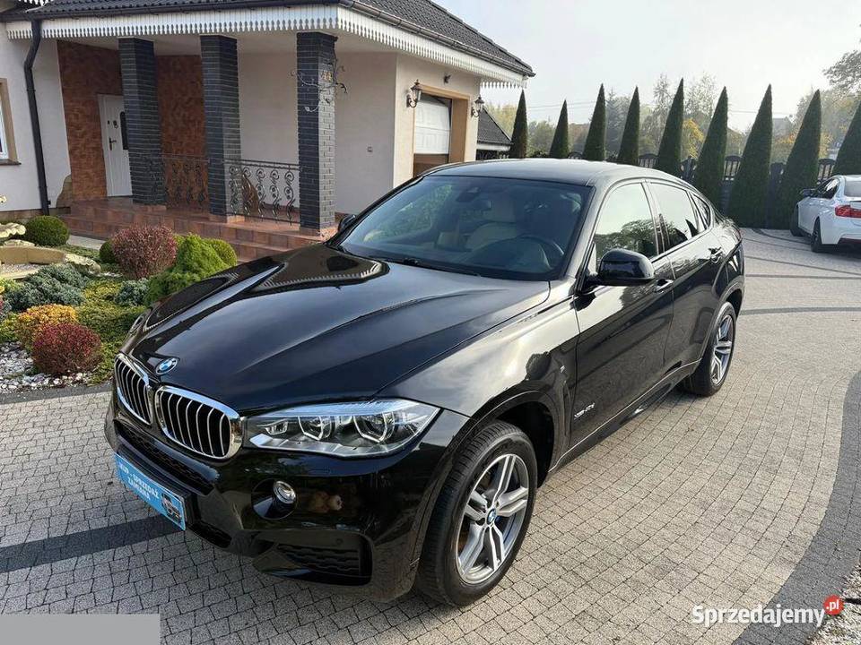 BMW X6 xDrive40d 30 Diesel 313 2018r Możliwa Krotoszyn