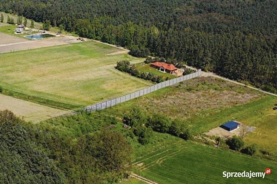 Działka budowlana Jaźwiny koło Trzebnicy sprzedam