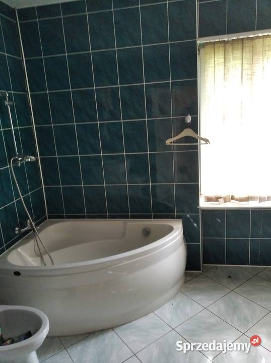 Nieruchomość działka 3 domy rzeką Bug mazowieckie Nur