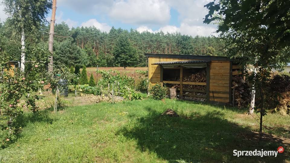 Domek rekreacyjny z działką 2300m Sprzedaż Brańszczyk