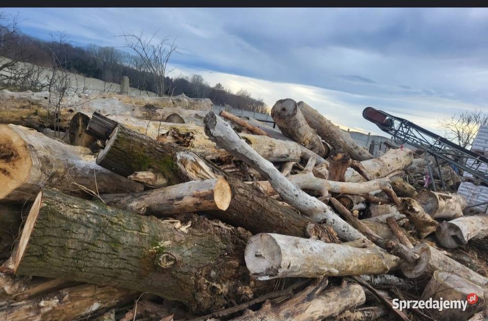 Drzewo opałowe Topola Opał Jawor sprzedam