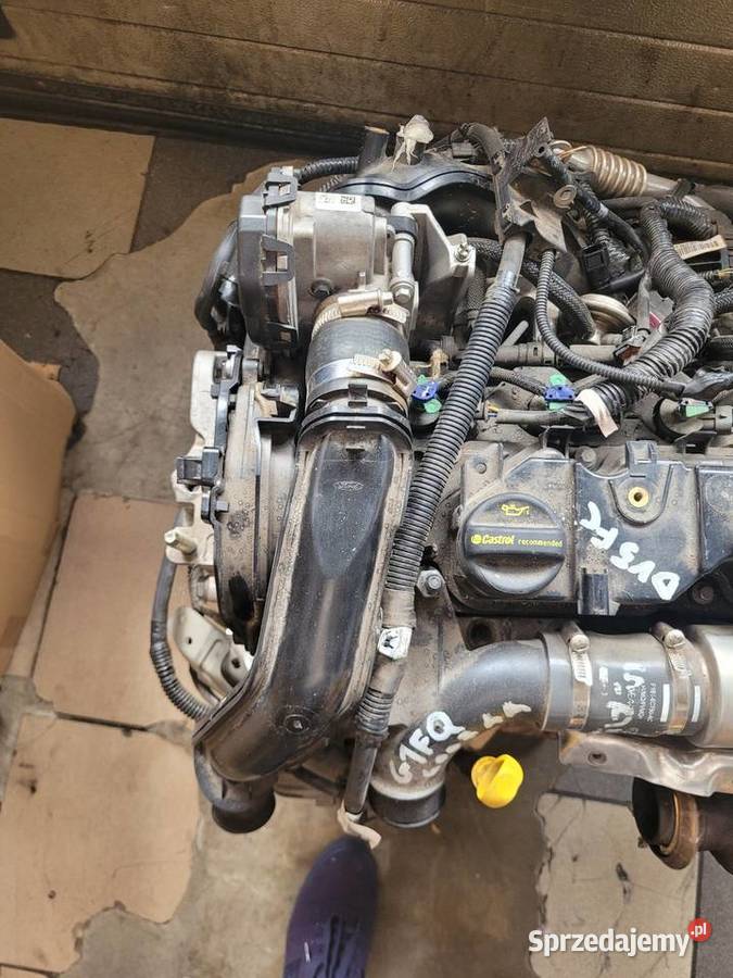 Silnik Ford 15 Tdci XWDA XWDB XWGA XWGB BRATFORD mazowieckie Radom