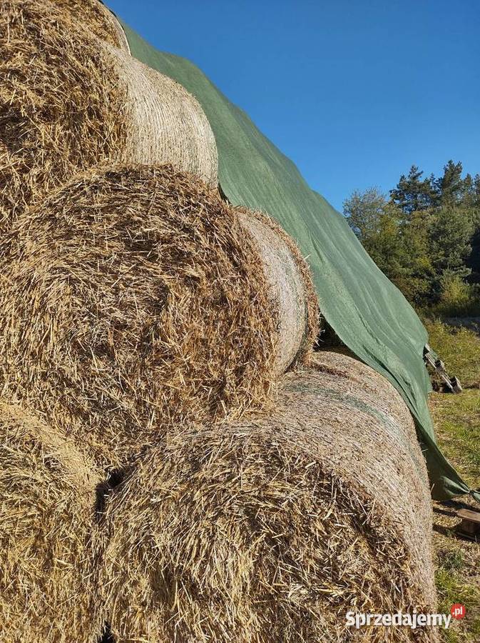 Sprzedam słomę Trawy, słoma