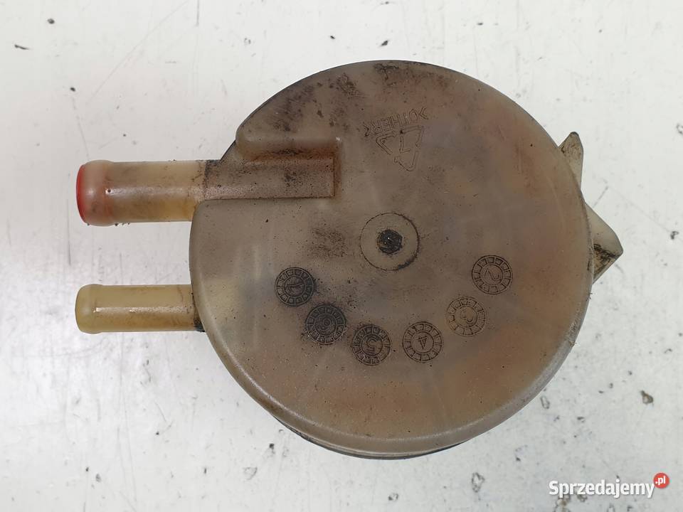 Kia Carnival I 29 CRDI ZBIORNICZEK WSPOMAGANIA Rudka