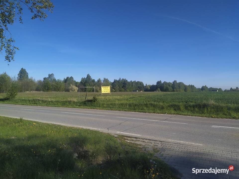 Działki budowlane Smogorzów pod Przysuchą sprzedam