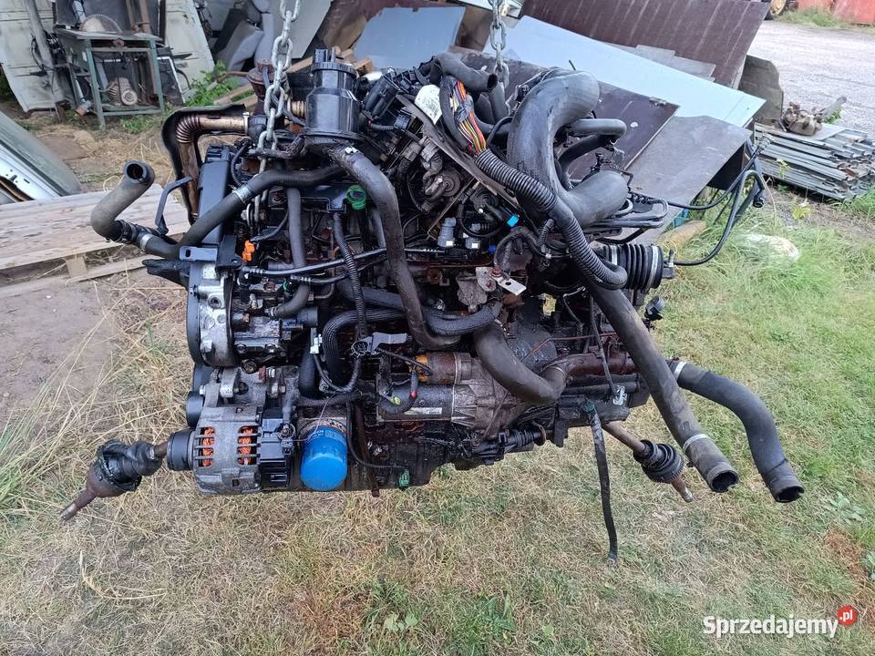 Silnik że skrzynią Ducato Jumper boxer 20jtd HDi sprzedam