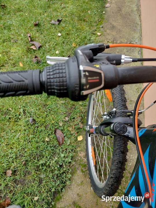 Rower kellys MTB Eco M10 Alpina