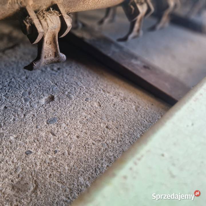 Kosiarka Bijakowa Mulcha Leopard 250 Bolesławiec