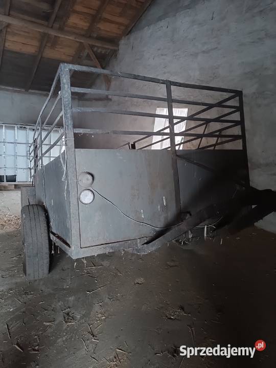 Wózek do przewozu zwierząt kołówka bryczka Tykadłów