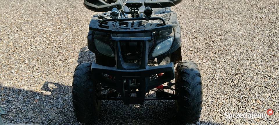 Qwad hammer 250 250cm3