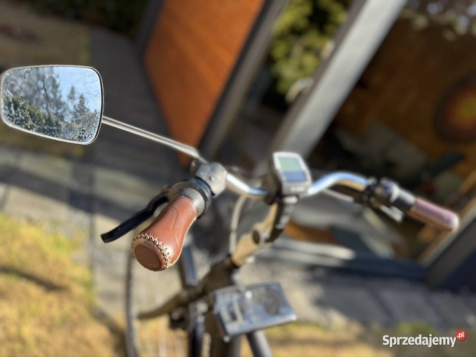 Gazelle Grenoble Bosch 500 Wh SpeedBox Męska