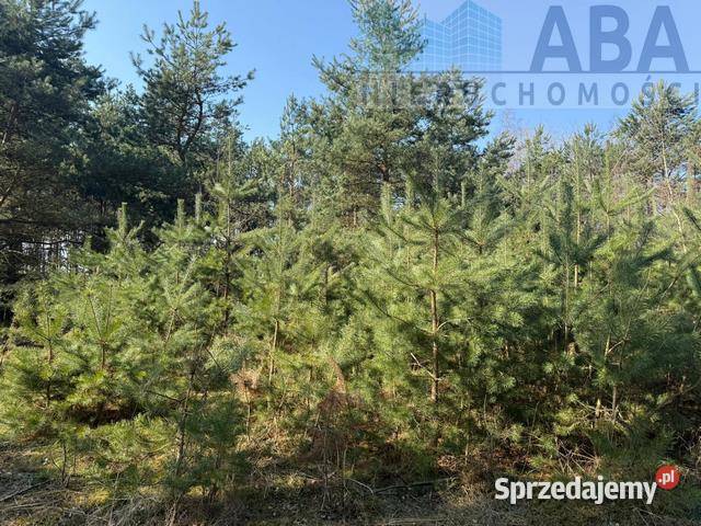 Na sprzedaż działka Niezgoda gm Słupca wielkopolskie