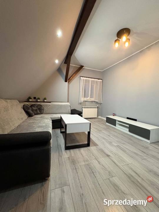 Mieszkanie Pleszew 585m2
