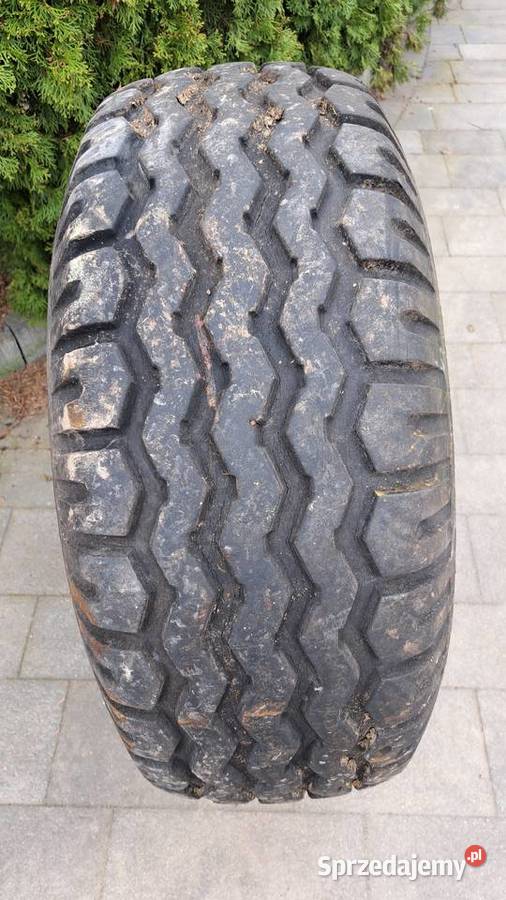 opona 1258018 wielkopolskie Miejska Górka