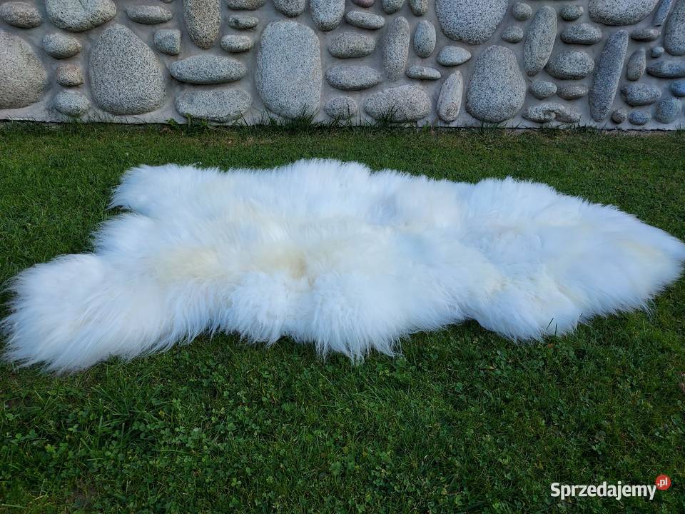 Skóra Owcza GIGANT Naturalna XXXXL Dywan Szaflary