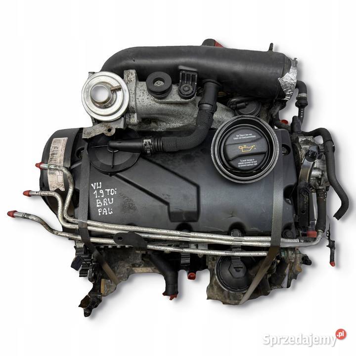 SILNIK BRU VW Golf V Plus Touran 19 TDI 90 Chełm