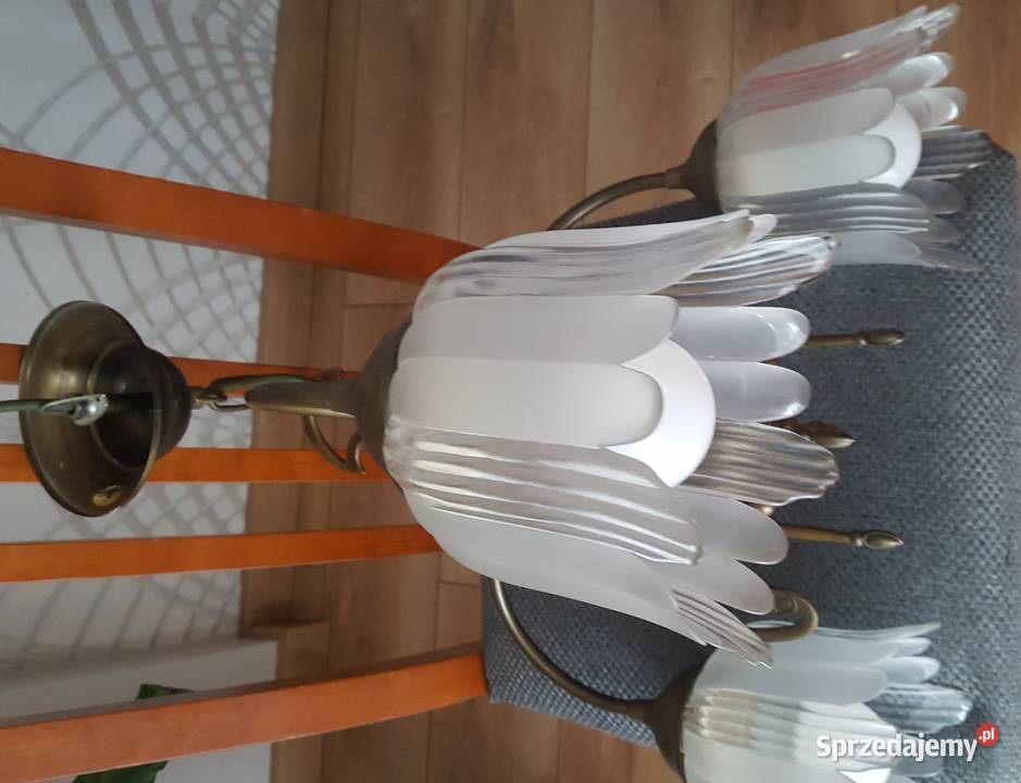 Żyrandol patynowany CAPRI klosze Ząbki sprzedam