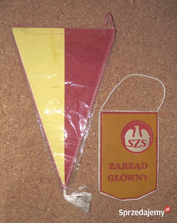 Szkolny Związek Sportowy mazowieckie Warszawa sprzedam