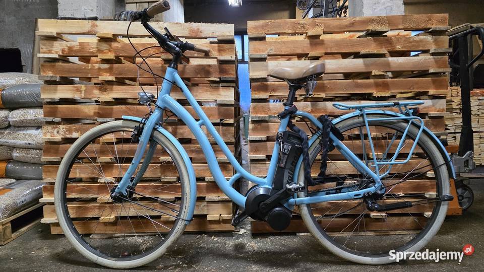 Rower elektryczny Kalkhoff serwisie i Osiecznica