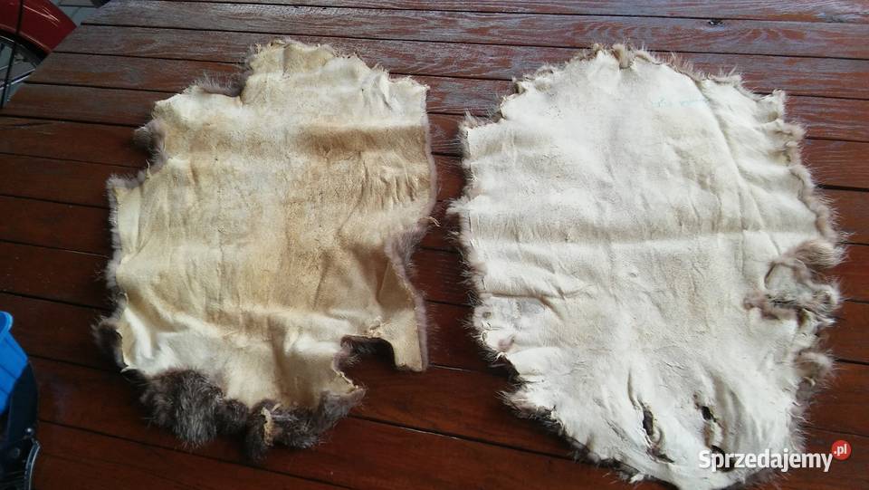 skóry z nutrii śląskie Kłomnice sprzedam