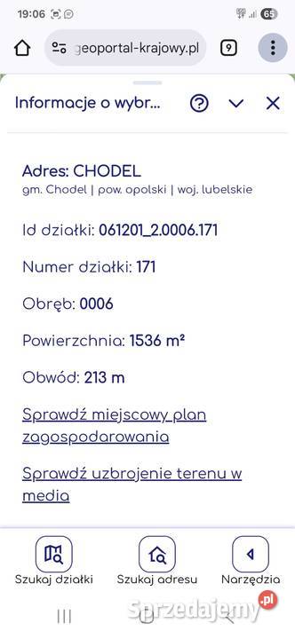 Sprzedam las w Chodlu Chodel