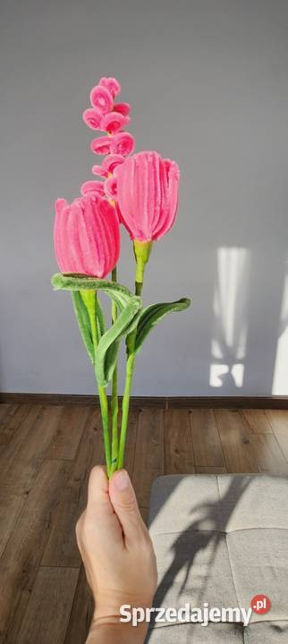 Tulipany z wyciorów 7 sztukę Kraków