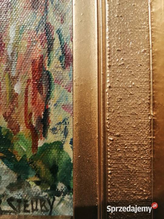 Obrazki Wybrzeże i góry Italii Włochy Łódź sprzedam