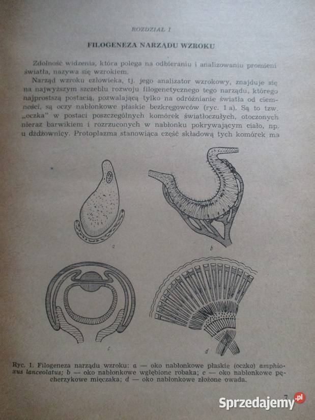 Okulistyka medycyna chirurgia interna biochemia Łódź