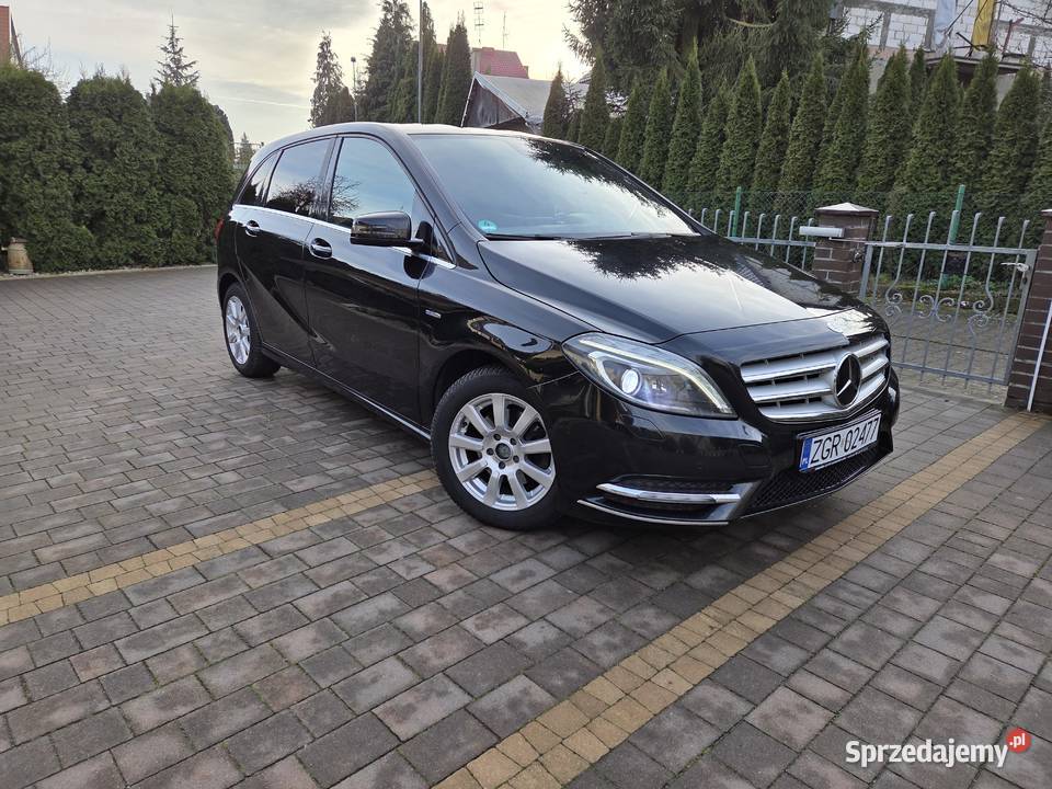 Ładny W246 zachodniopomorskie Wełtyń