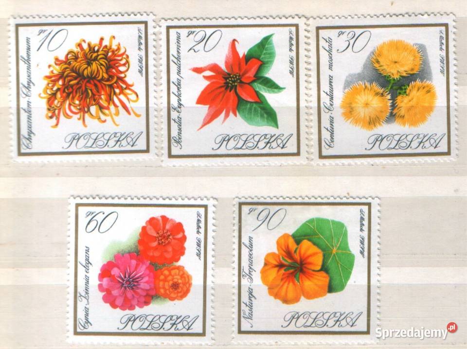 Zn Fi 1526 8 30 1 41 4 8 50 2 3 1966