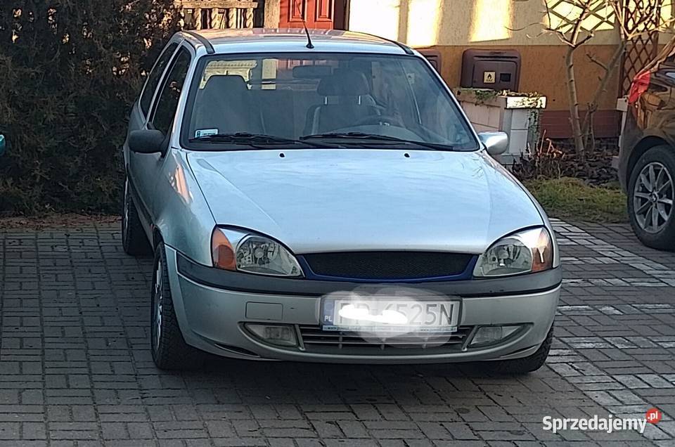 Halogeny Ford Fiesta mk4 lift mk5 Wągrowiec