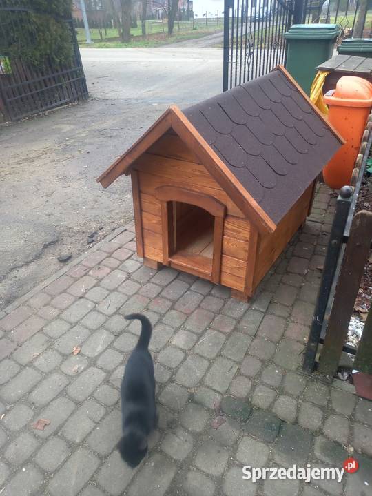 Buda psa ocieplana duża kurtyna podkarpackie Przemyśl