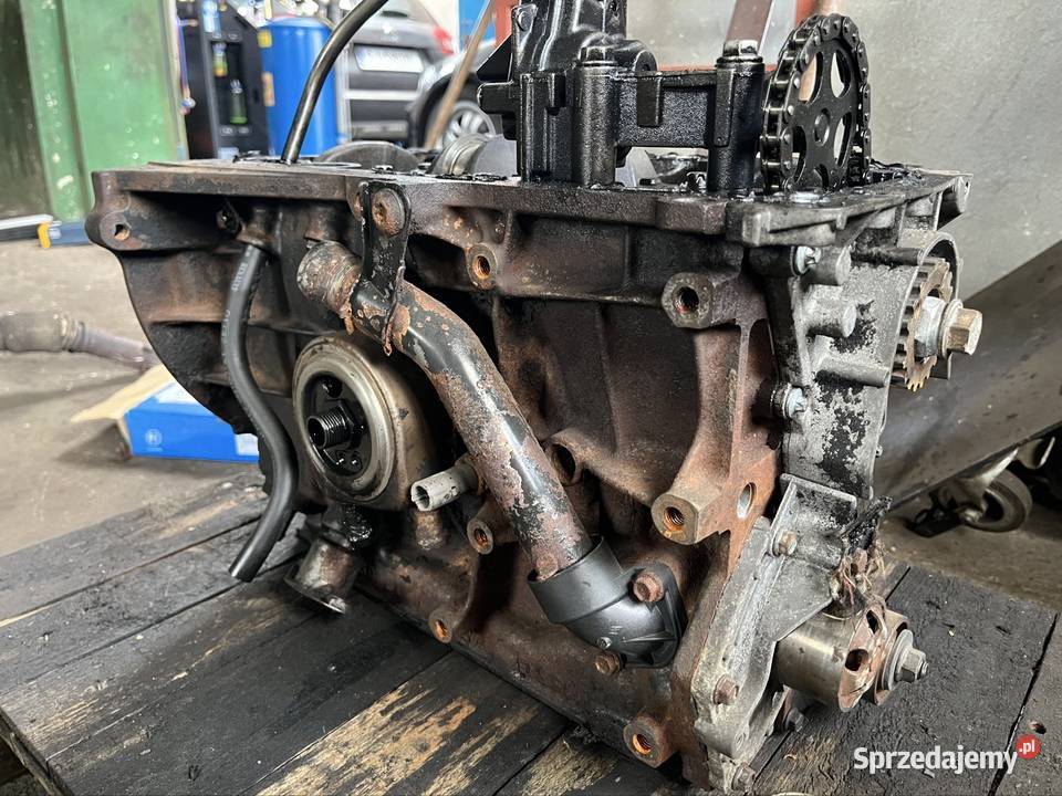 Blok Silnika Opel Vivaro 19 Chrzanów