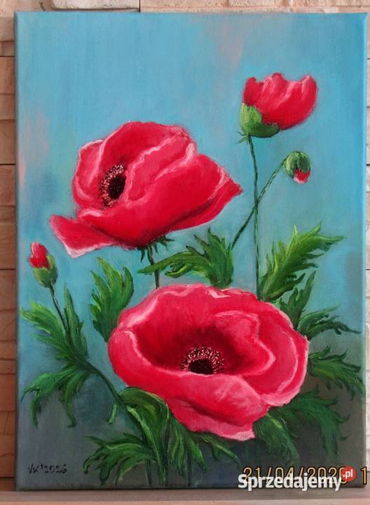 Maki polne Malarstwo