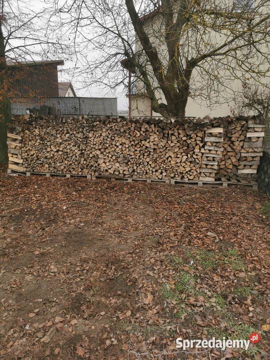 Drewno opałowe Korczyn