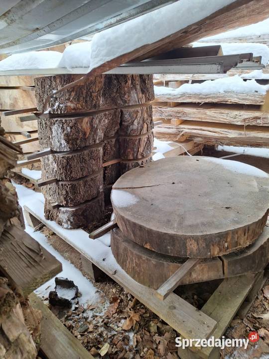 Drewno Foszty Plastry pod żywicę Dzikowiec sprzedam