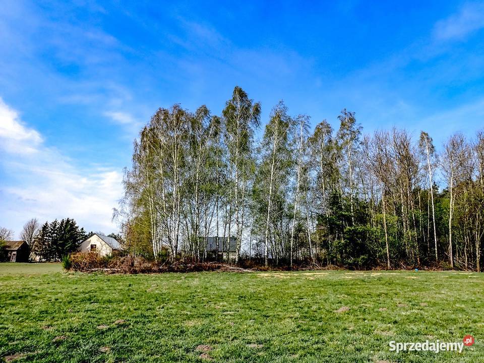 Działka z Warunkami Zabudowy 1500m2 Bądkowo sprzedam
