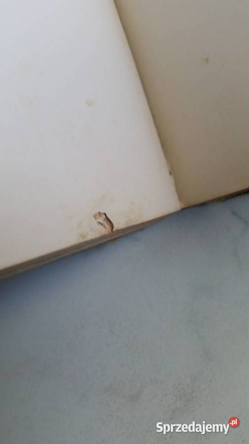 Album Henryk Siemiradzki Stanisław Lewandowski Puławy