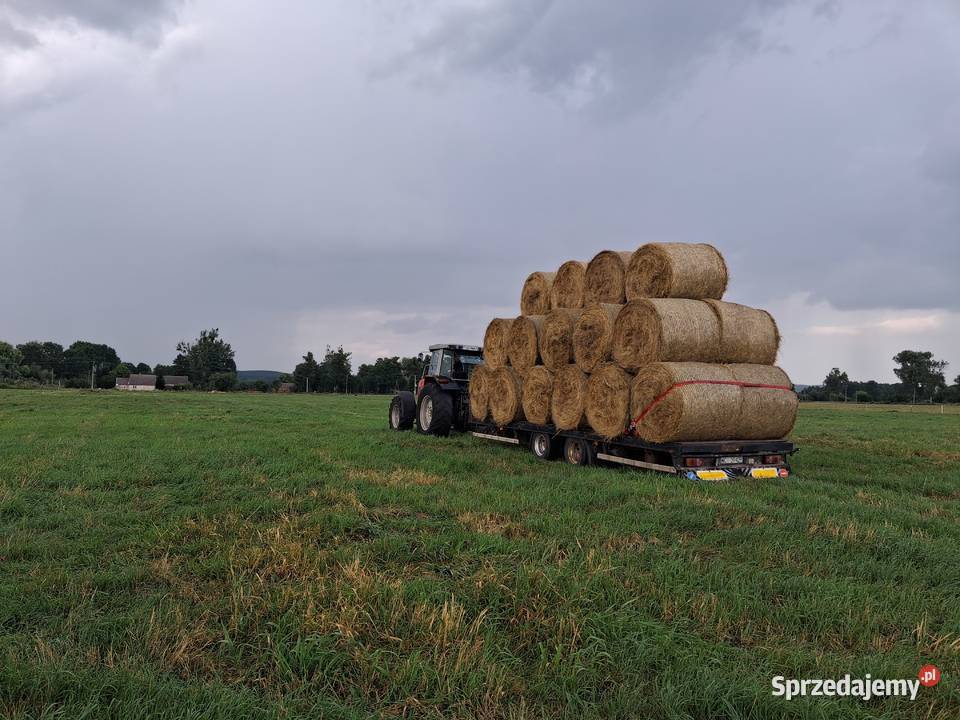 Zbieram rezerwacje na Siano w belach i kostkach Stare Kurowo