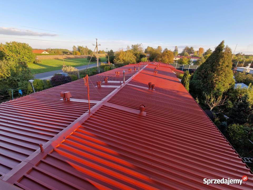 Malowanie dachów Tarnobrzeg Stolowa Wola Usługi