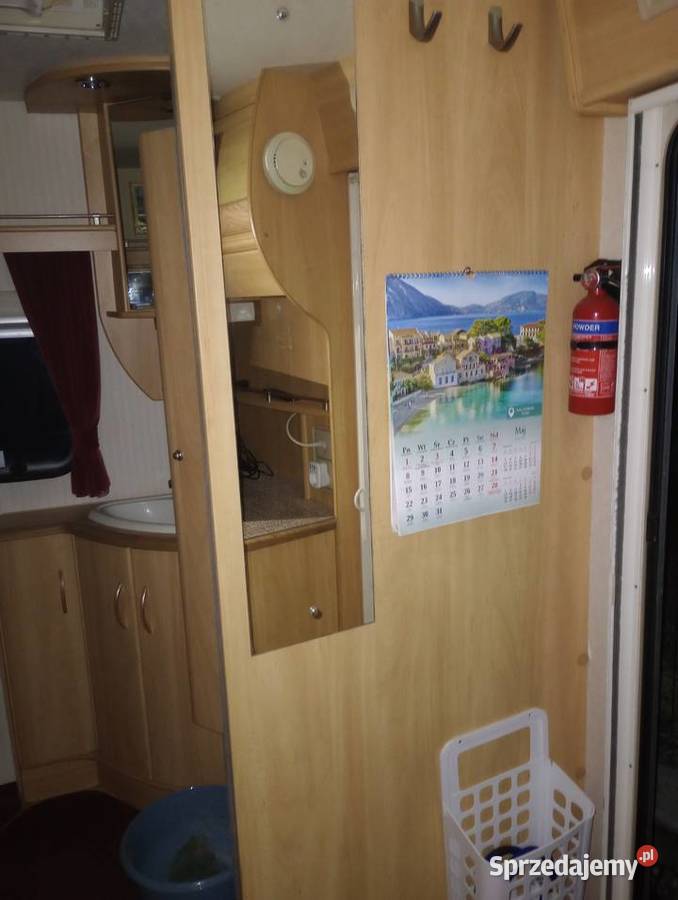 Ładna Przyczepa Angielska Sterling Topaz Kofort Radlin