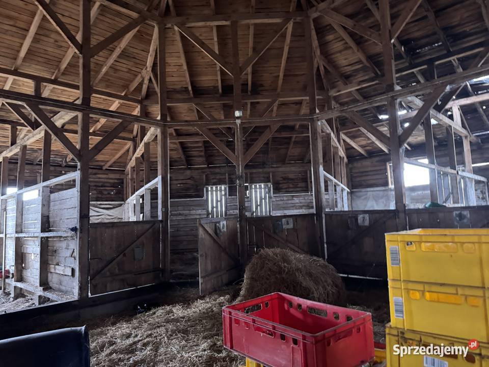 Syndyk sprzeda nieruchomość miejscowość