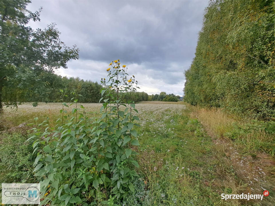 Grunt Łagów 8879m2 woda sprzedam