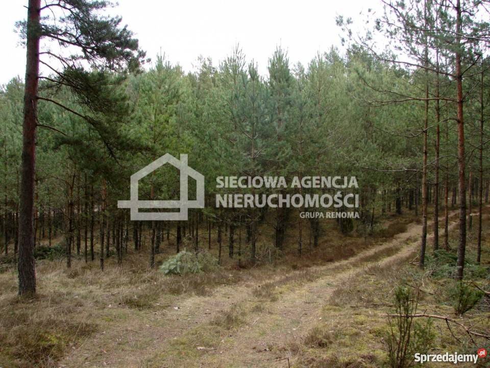 Sprzedaż działki 165900m2