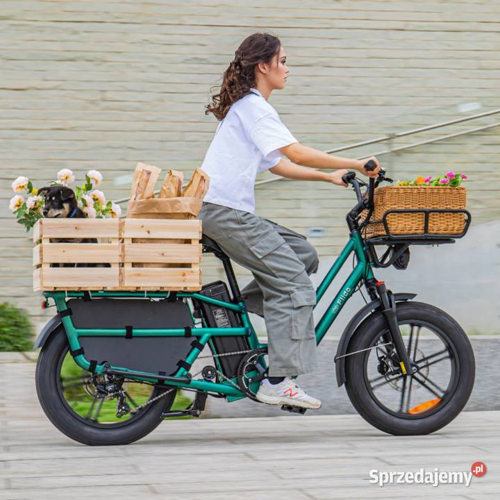FIIDO T2 2024 fat ebike rower elektryczny Tarnobrzeg