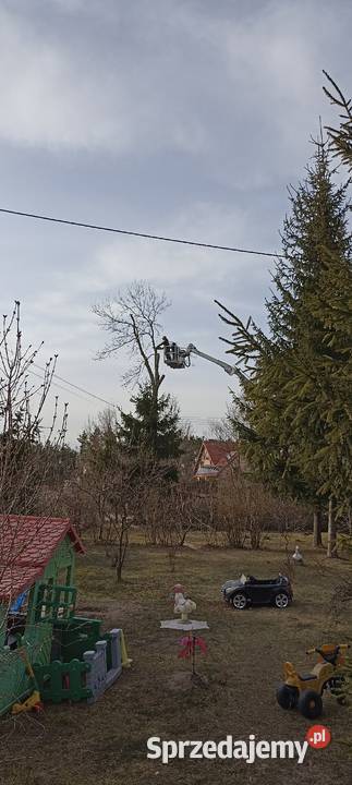 Wycinka drzew usuwanie gałęzi pielęgnacja drzew ogród